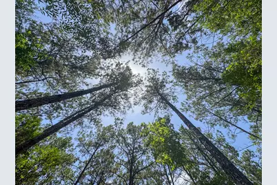 4 Benny Griffin Road, Livingston, TX 77351 - Photo 35