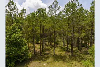 4 Benny Griffin Road, Livingston, TX 77351 - Photo 11