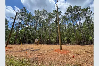 4 Benny Griffin Road, Livingston, TX 77351 - Photo 13