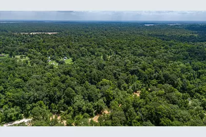 0 W Magnolia Ln, New Caney, TX 77357 - Photo 11