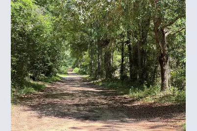 2374 Holly Grove Road, Livingston, TX 77351 - Photo 9