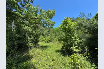2374 Holly Grove Road, Livingston, TX 77351 - Photo 5