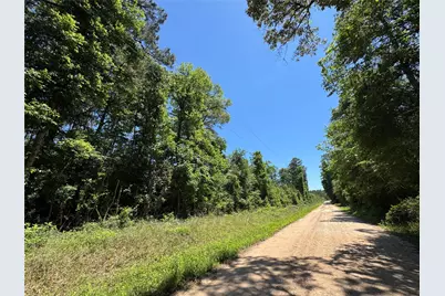 2374 Holly Grove Road, Livingston, TX 77351 - Photo 1