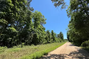 2374 Holly Grove Rd, Livingston, TX 77351 - Photo 1