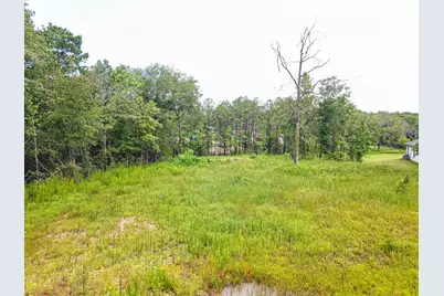 18332 Wisp Willow Way, Porter, TX 77365 - Photo 41