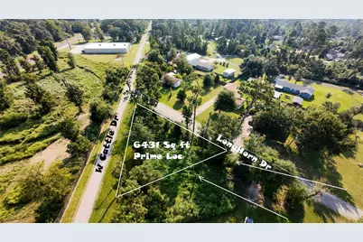 186 N Cattle Drive, Onalaska, TX 77360 - Photo 5