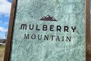 3831 Garden Hill Ln, Santa Fe, TX 77510 - Photo 35