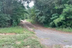 4315 County Rd 239, Winona, TX 75792 - Photo 5