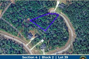 10545 Link Tree Ln, Willis, TX 77378 - Photo 1