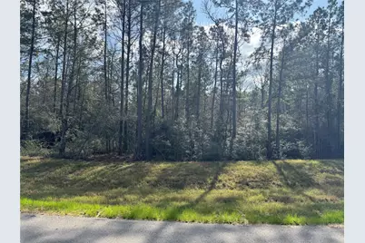 10545 Link Tree Lane, Willis, TX 77378 - Photo 7