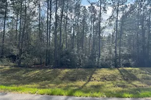 10545 Link Tree Ln, Willis, TX 77378 - Photo 7