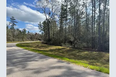 10545 Link Tree Lane, Willis, TX 77378 - Photo 9