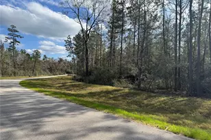 10545 Link Tree Ln, Willis, TX 77378 - Photo 9