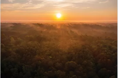 10545 Link Tree Lane, Willis, TX 77378 - Photo 19