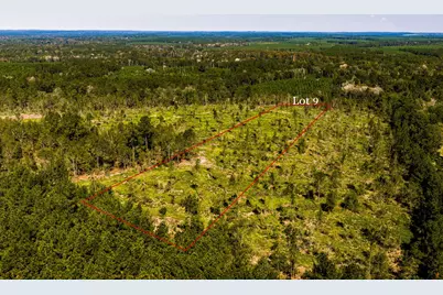 009 Buddy Lloyd Rd, Livingston, TX 77351 - Photo 1