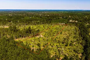 009 Buddy Lloyd Rd, Livingston, TX 77351 - Photo 1