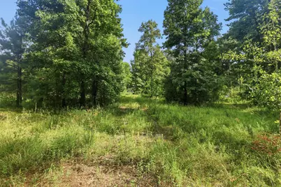31577 Bohlssen Road, New Caney, TX 77357 - Photo 1