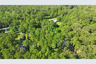 31577 Bohlssen Road, New Caney, TX 77357 - Photo 11