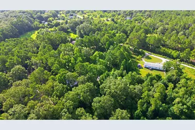 31577 Bohlssen Road, New Caney, TX 77357 - Photo 9