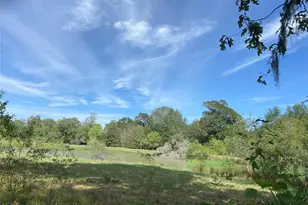 Tbd Sour Lake Circle, Cleveland, TX 77327 - Photo 1