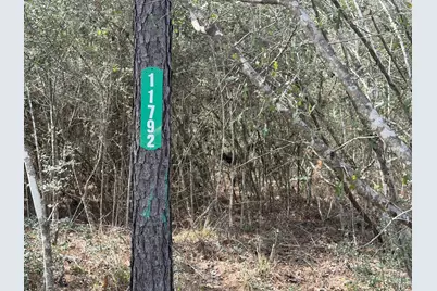 11792 Inspiration Drive, Willis, TX 77378 - Photo 3