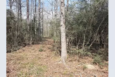 11792 Inspiration Drive, Willis, TX 77378 - Photo 7