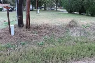 00 Fulshear Katy Rd, Fulshear, TX 77441 - Photo 3