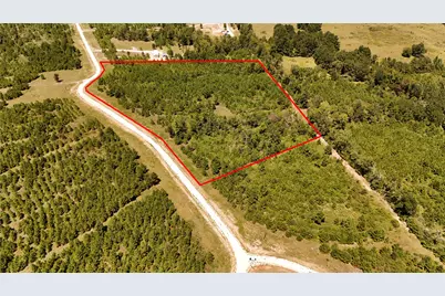 Tract 100 Robertson Road, Lovelady, TX 75851 - Photo 1