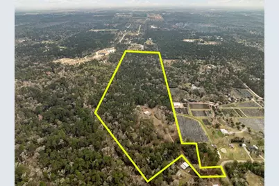 15547 Knotty Oaks Trail, Magnolia, TX 77355 - Photo 7