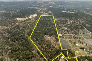 15547 Knotty Oaks Trail, Magnolia, TX 77355 - Photo 7