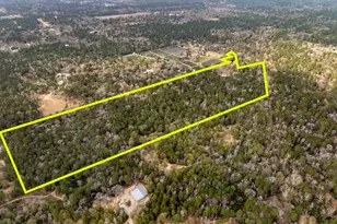 15547 Knotty Oaks Trail, Magnolia, TX 77355 - Photo 9