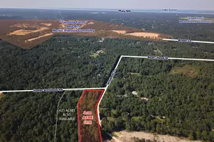 Tbd Windmill, Montgomery, TX 77316 - Photo 5