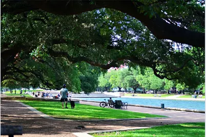 1838 Wheeler Street, Houston, TX 77004 - Photo 17