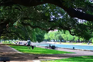 1838 Wheeler St, Houston, TX 77004 - Photo 17