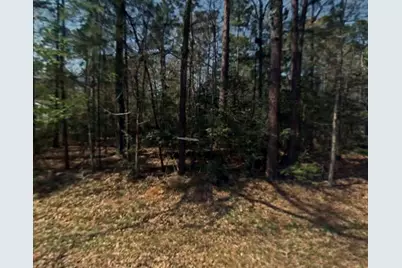 0 Rosemary Lane, Livingston, TX 77351 - Photo 1