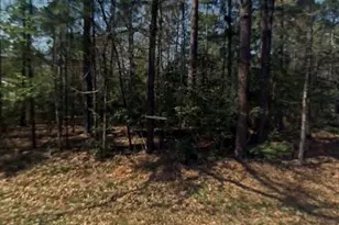 0 Rosemary Ln, Livingston, TX 77351 - Photo 1