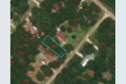 0 Rosemary Lane, Livingston, TX 77351 - Photo 3