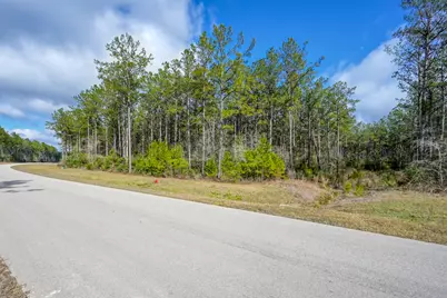 15688 Wooded Trail Way, Willis, TX 77378 - Photo 5