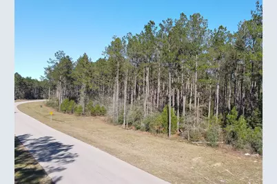 15688 Wooded Trail Way, Willis, TX 77378 - Photo 9