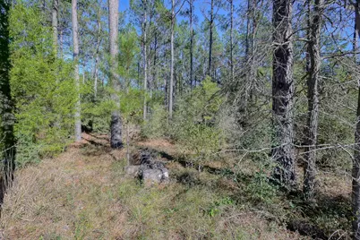 15688 Wooded Trail Way, Willis, TX 77378 - Photo 17