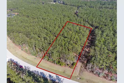 15688 Wooded Trail Way, Willis, TX 77378 - Photo 11