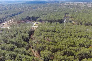 15688 Wooded Trl Wy, Willis, TX 77378 - Photo 11