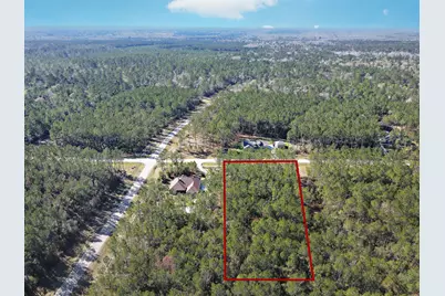 15688 Wooded Trail Way, Willis, TX 77378 - Photo 19