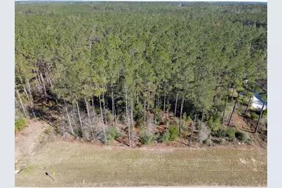 15688 Wooded Trail Way, Willis, TX 77378 - Photo 11