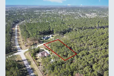 15688 Wooded Trail Way, Willis, TX 77378 - Photo 17