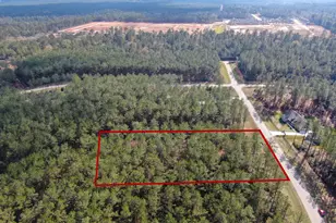 15688 Wooded Trl Wy, Willis, TX 77378 - Photo 13