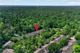 38 Musgrove Pl, Spring, TX 77382 - Photo 33