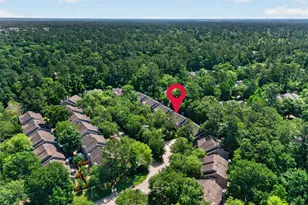 38 Musgrove Pl, Spring, TX 77382 - Photo 31