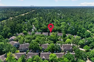 38 Musgrove Pl, Spring, TX 77382 - Photo 33