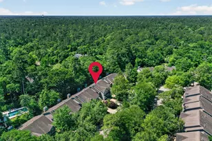 38 Musgrove Pl, Spring, TX 77382 - Photo 29